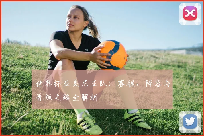 世界杯亚美尼亚队：赛程、阵容与晋级之路全解析